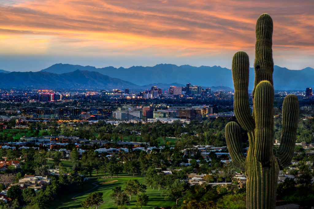 An image of the Phoenix skyline as seen between cacti in the Sonoran Desert.