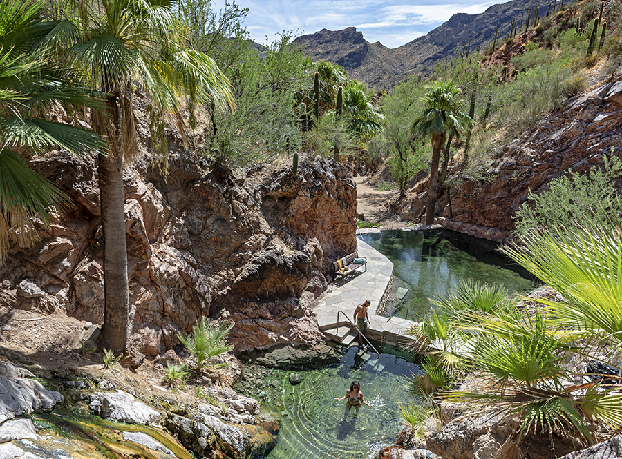 A man and a woman enter hot springs set amidst palm trees in the Bradshaw Mountains.