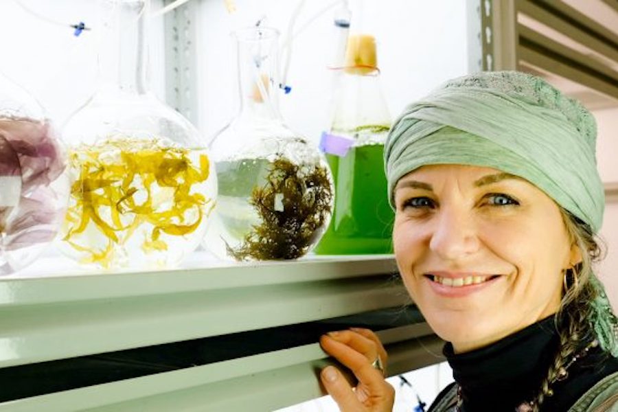 Helped by an event changemaker, Dr. Pia Winberg stands smiling proudly next to glass receptacles containing different varieties of seaweed in her lab.