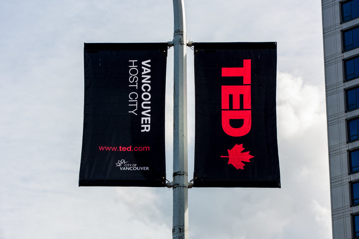 TED banner