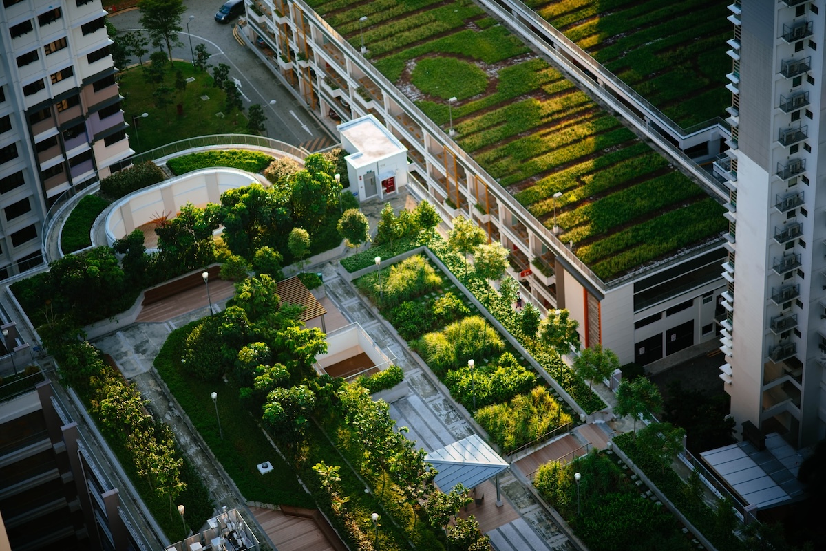 Aerial view of a rooftop garden over a downtown parking lot
