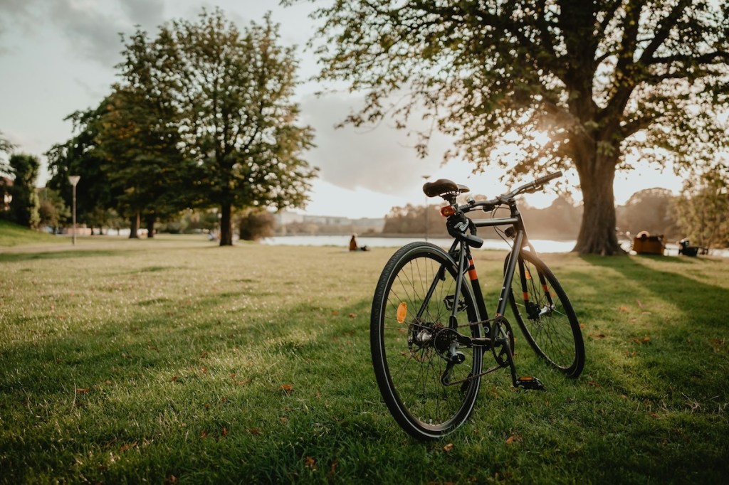 Bicycle standing in a Copenhagn park at sunset.jpg