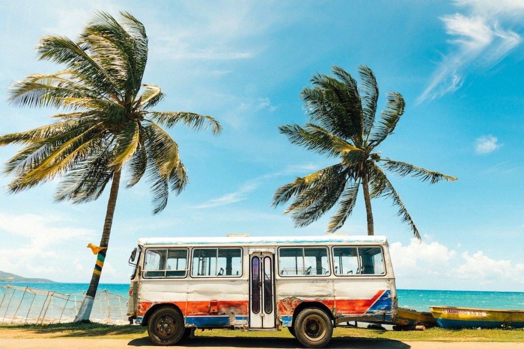 White and blue bus near palm tree under blue sky during daytime