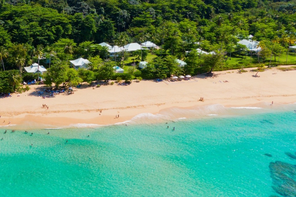 An aerial view of a sandy beach surrounded by trees