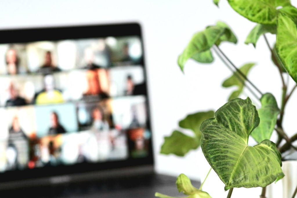 Laptop on a video callin the background with a green plant in the foreground