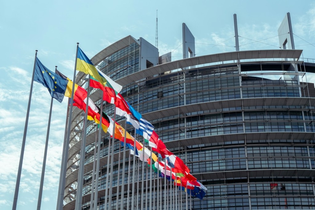 Flags of various European countries in front of the The European Parliament building in Strasbourg