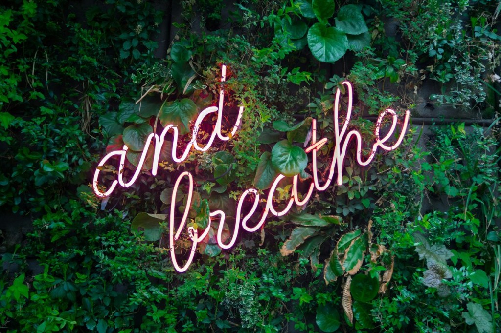 and breathe neon sign representing wellness and health trends