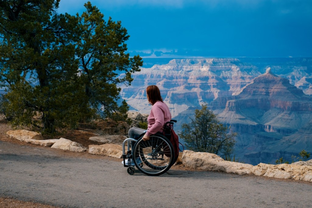 person in wheelchair in park