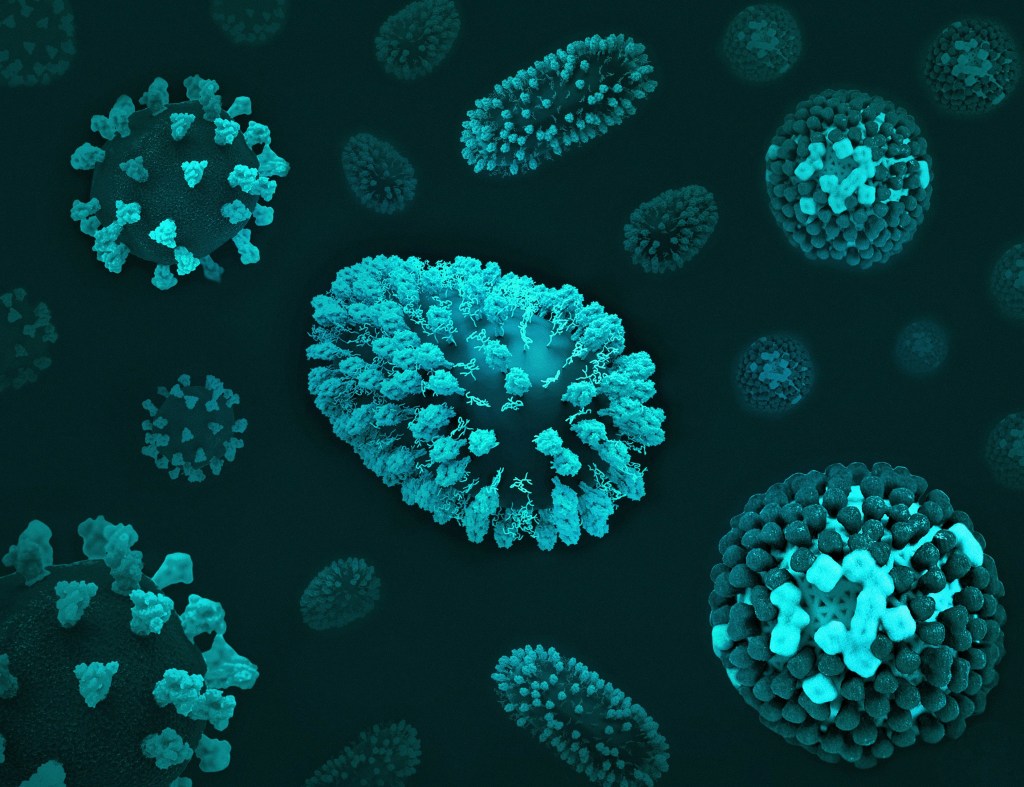 Covid, RSV, influenza