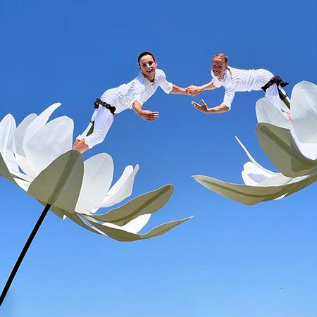 Aerial acrobats