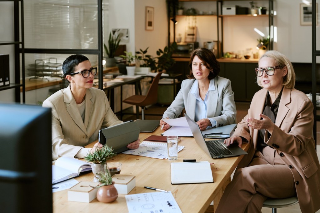 Businesswomen having a meeting